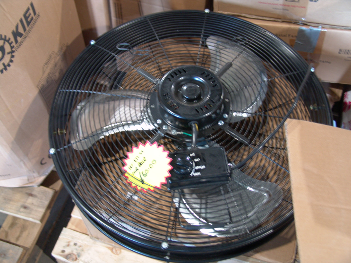 Fan