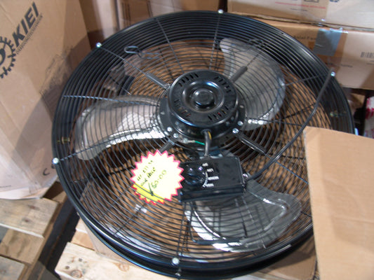 Fan