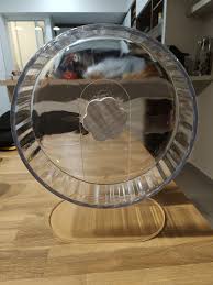 Hamster Wheel