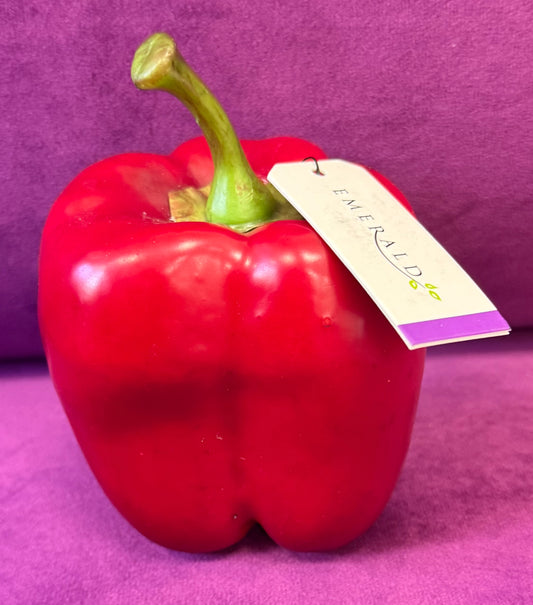 Plastic Pepper